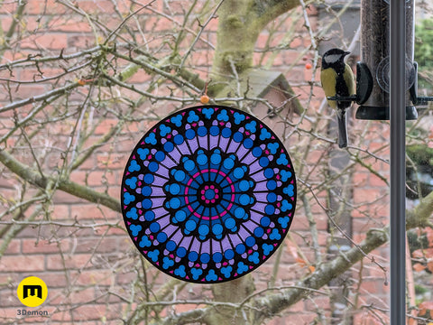 Notre Dame Stained Glass