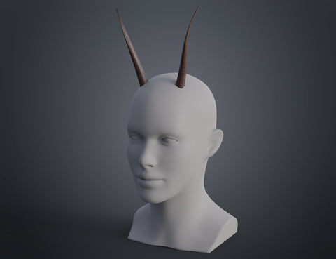 Oribi horns