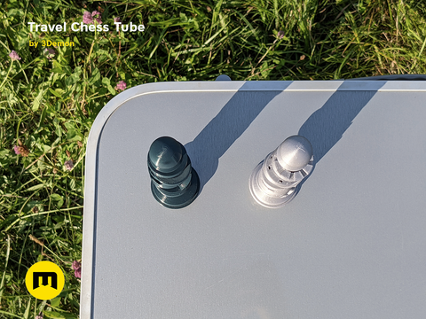 Travel Chess Tube