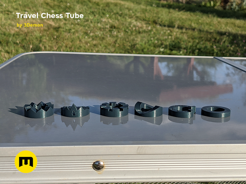 Travel Chess Tube