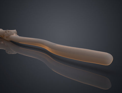 Peter Pettigrew's Second Wand