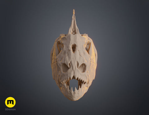 Piranha Skull (Pygocentrus Nattereri)