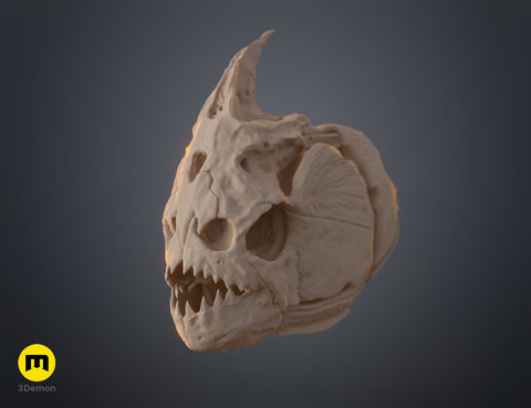 Piranha Skull (Pygocentrus Nattereri)