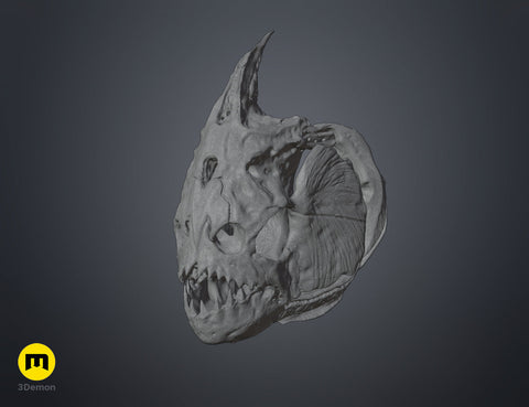Piranha Skull (Pygocentrus Nattereri)