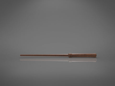Harry Potter’s 1st Wand