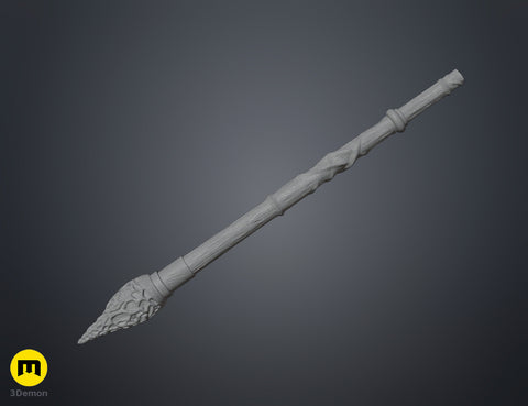 Professor Benedita Dourado wand