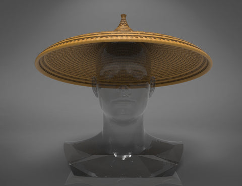 Raya's hat