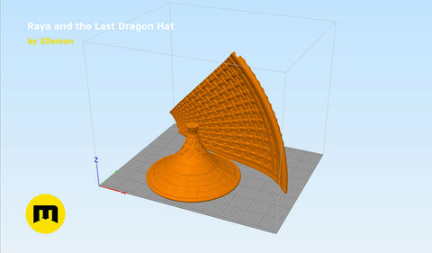 Raya's hat