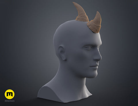 Rhino horns