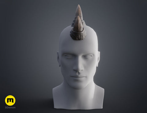 Rhino horns