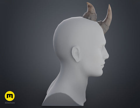 Rhino horns