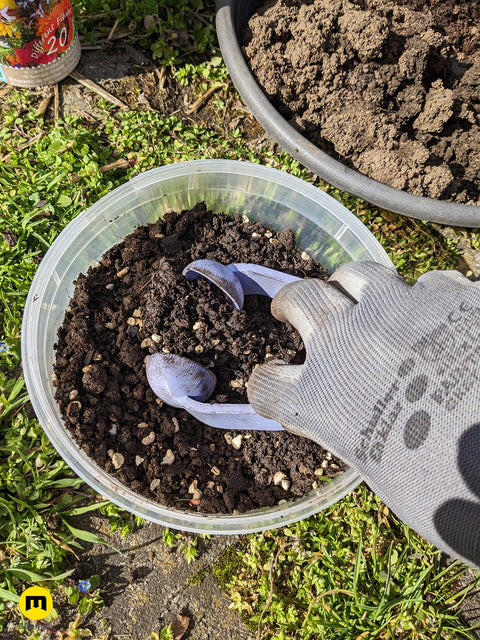 Easter Egg Seed Bomb Maker