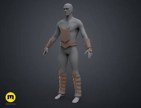Serpent Guard Armor