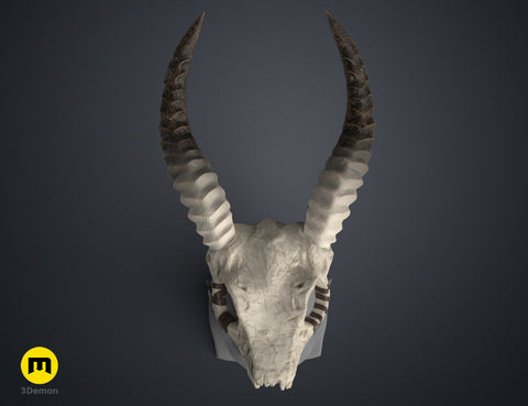 Shaman Skull with Horns