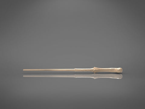 Lord Voldemort’s Wand