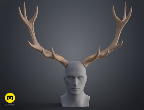 Red Deer antlers