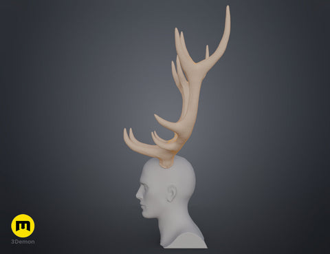 Red Deer antlers