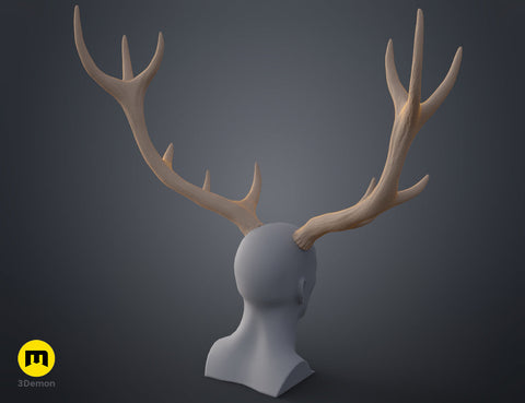 Red Deer antlers