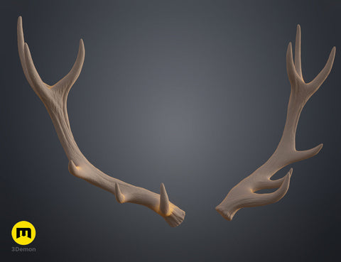 Red Deer antlers