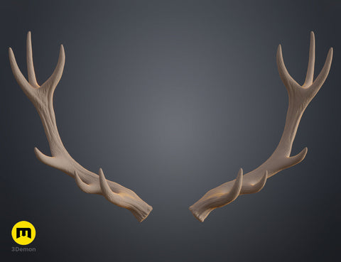 Red Deer antlers