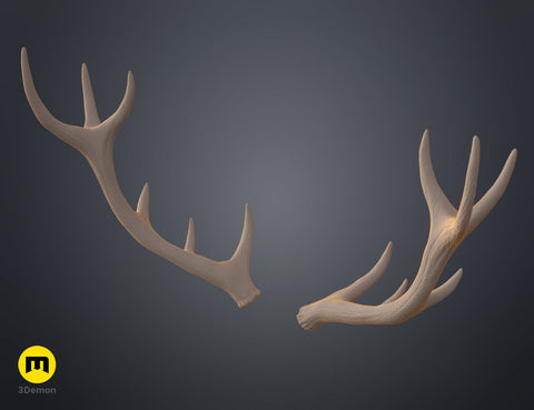 Red Deer antlers