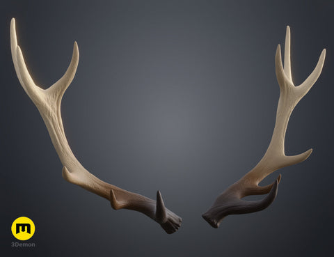 Red Deer antlers