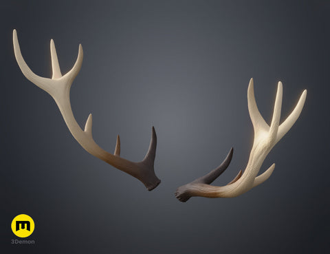 Red Deer antlers