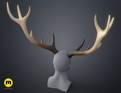 Red Deer antlers