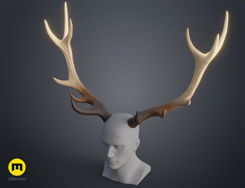 Red Deer antlers