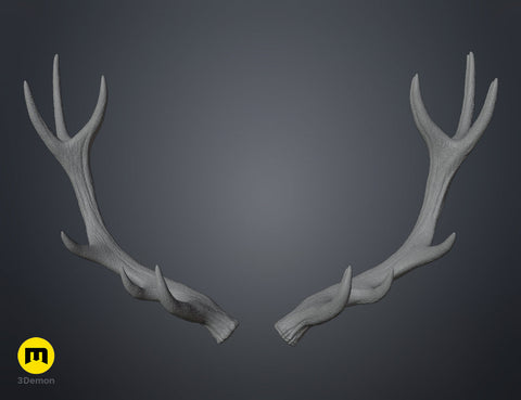 Red Deer antlers