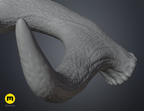 Red Deer antlers