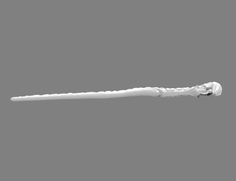 Amycus Carrow’s Wand