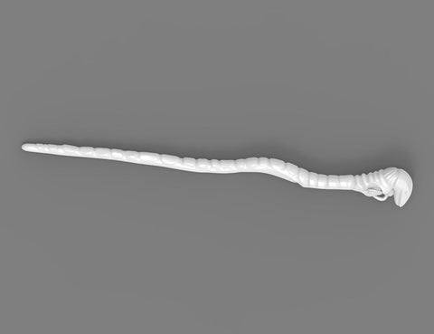 Amycus Carrow’s Wand