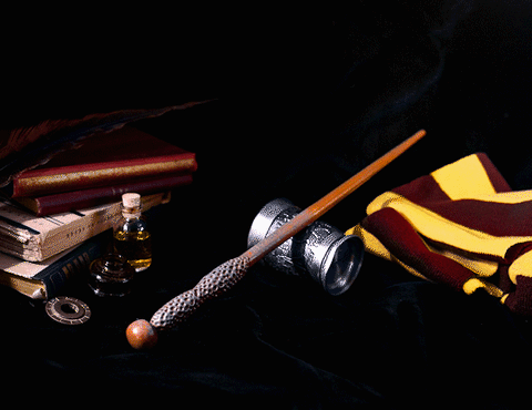 Nigel Wolpert's Wand
