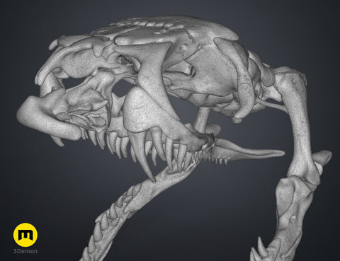 Cobra Snake Skull