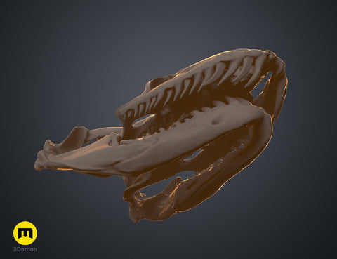 Python Snake Skull