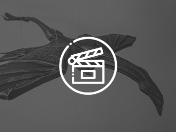 Other Movies and Series