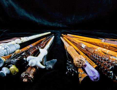 Harry Potter Wands Collection
