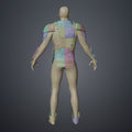 Color-coded parts breakdown of Atreides Armor - Dune, back view cosplay prop 3D print assembly guide