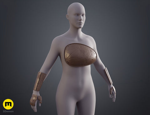 Ghost of Yotei Atsu Shinobi Armor