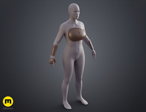 Ghost of Yotei Atsu Shinobi Armor