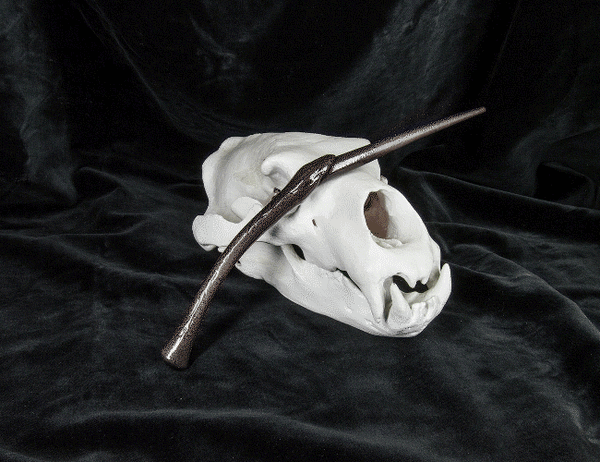 Bellatrix Lestrange’s Wand