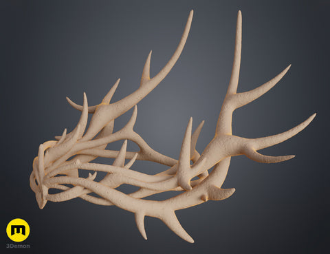 Crown of Thorns - Fantasy Headpiece