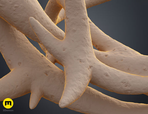 Crown of Thorns - Fantasy Headpiece