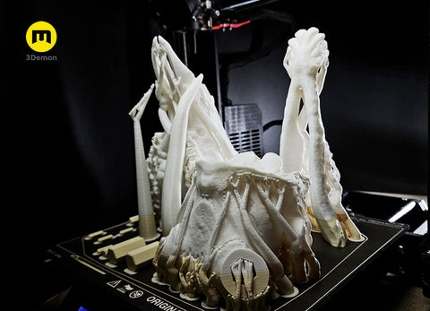 White-Tailed Deer Skull (Odocoileus Virginianus)