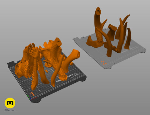 White-Tailed Deer Skull (Odocoileus Virginianus)