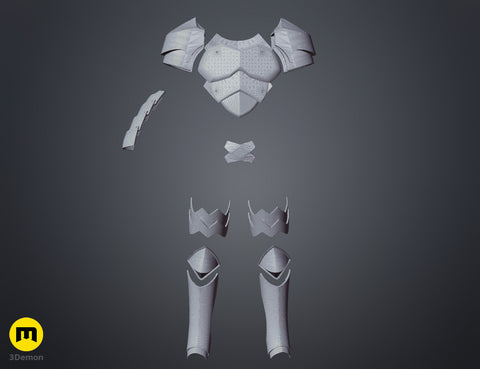 Armor Goblin Slayer