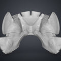 3D model render of the patriot hero's Eagle Shoulder armor STL, grey textured shoulder pauldrons.