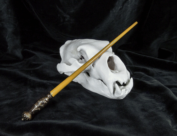 Igor Karkaroff's Wand