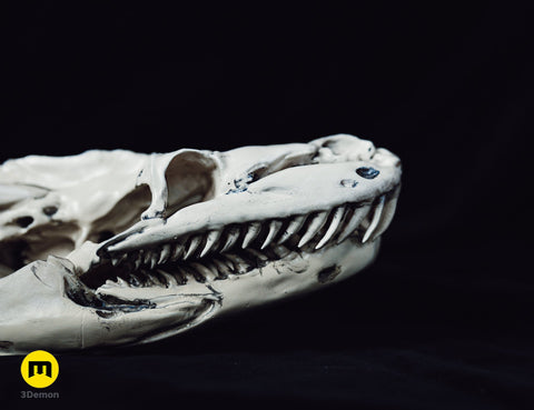 Realistic Skull Collection